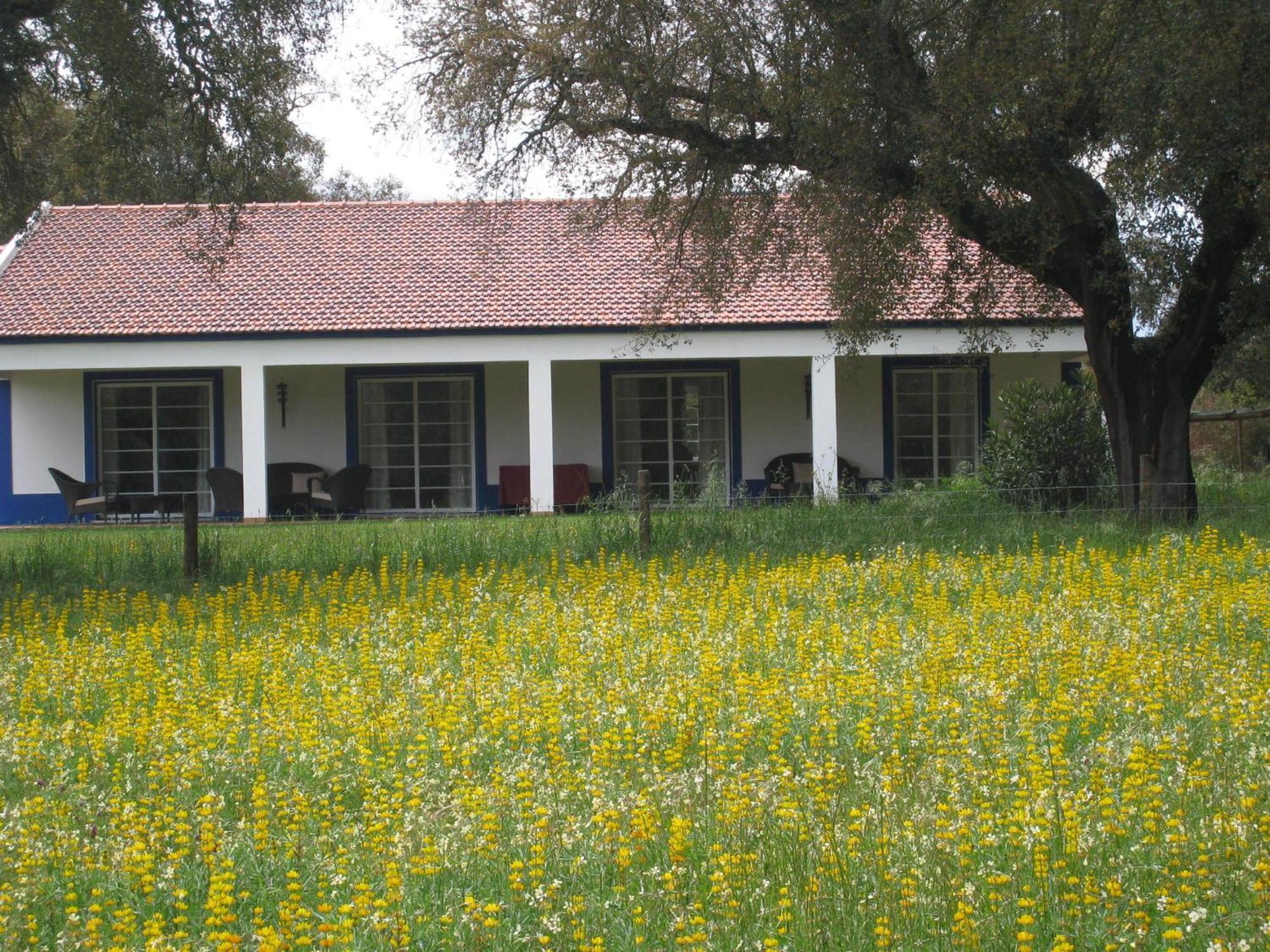Monte Das Faias Cork Farm Hotel Grândola Buitenkant foto